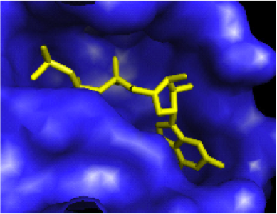 Molecular Docking Project Image